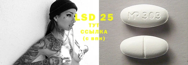ПСИЛОЦИБИНОВЫЕ ГРИБЫ Фёдоровский