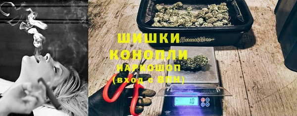 ПСИЛОЦИБИНОВЫЕ ГРИБЫ Фёдоровский