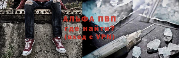 твердый Нестеровская