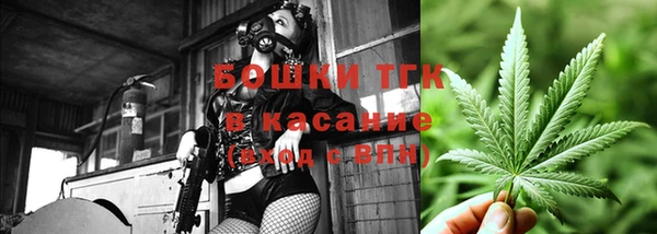 ПСИЛОЦИБИНОВЫЕ ГРИБЫ Фёдоровский